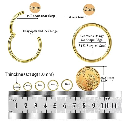 Small Gold Hoop Earrings, Lightweight 14K Gold Plated Huggie Hoop Earrings for Cartilage Helix Tragus, Hypoallergenic Earrings for Women Men, Tiny Thin Hoops Surgical Steel Endless Hoops Earrings 6-10 mm - color: 6/7/8/9/10mm Hoop Gold-18g