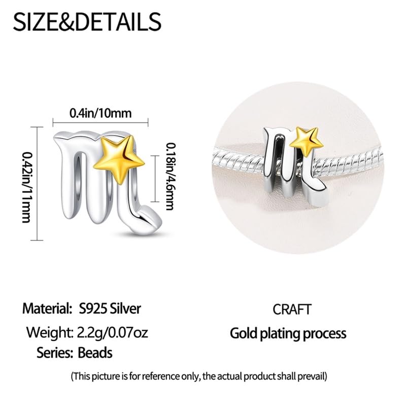 925 Sterling Silver 12 Astrological Signs Charm for Bracelets and Necklace Happy Birthday Charms for Bracelet and Necklace Valentine's Day Mother's Day Gift - style: Scorpio Charm