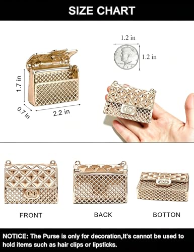 BEMYLV Mini Chain Belt Purse Gold Waist Bag for Women Fashion Fanny Pack | Trendy Detachable Waist Purse Cute Bag for Dresses Jeans - color: Pale Gold