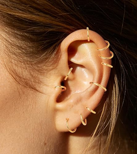 16G 6MM 7MM 8MM 9MM 10MM 12MM Hinged Clicker Septum Rings Pack Surgical Stainless Steel 16 Gauge Nose Ring Daith Rook Tragus Helix Cartilage Conch Hoop Earrings Piercing Jewelry for Women Men - color: Gold Tone