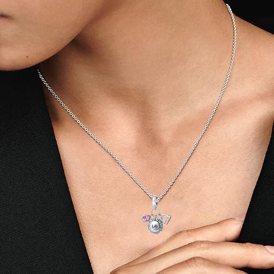 NanMuc Constellation Charm for Women Bracelets Horoscope Zodiac Sign Teardrop Birthstone Birthday Anniversary Dangle Bead for Mom Grandma - style: Scorpio(10.24-11.22)
