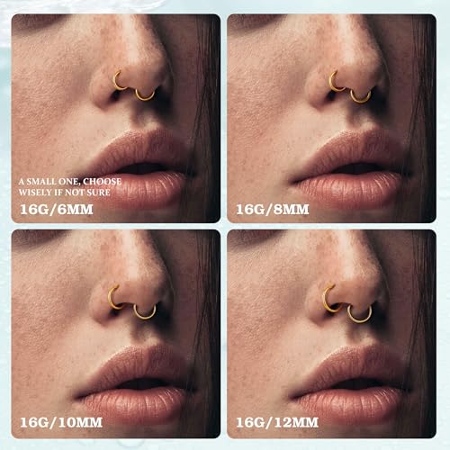 16G Hinged Clicker Segment Septum Rings Stainless Steel Nose Horseshoe Hoop Eyebrow Lip Cartilage Helix Tragus Earrings Piercing Jewelry 6/8/10/12mm Replacement Balls 3mm - color: Black