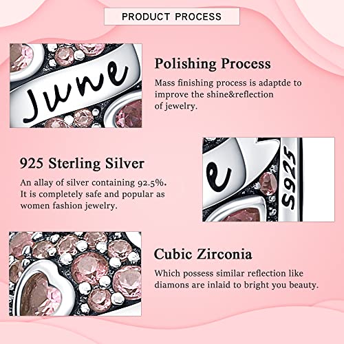 925 Sterling Silver Birthstone Charms fits Charms Bracelets for Woman，with 5A Cubic Zirconia Dangle Pendant Bead,Happy Birthday Charms for Bracelet and Necklace Valentine's Day Mother's Day Gift - color: 1-June Birthstones