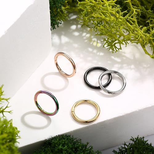 4/5/8 pcs 16G/18G/20G 316L Surgical Steel Hinged Nose Rings Hoops Lip Septum Rings Helix Conch Rook Cartilage Tragus Earrings Piercing Jewelry Black Silver Gold Plated Nose Rings Women Men - color: Mixed - 16G 8mm- 5PCs