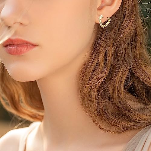 18K Crystal Heart Hoop Earrings for Women with Locket Design, White Crystal Cubic Zirconia Dangling Earrings Fine Jewelry Gifts for Her - color: Toroidal