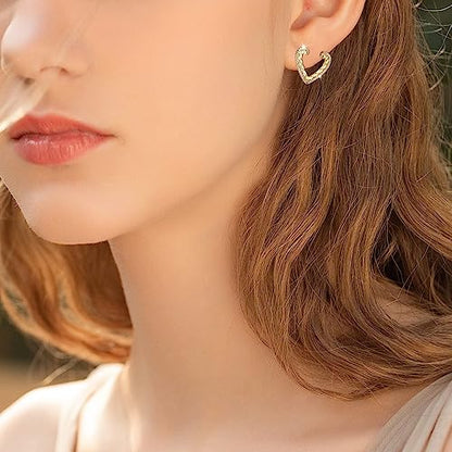 18K Crystal Heart Hoop Earrings for Women with Locket Design, White Crystal Cubic Zirconia Dangling Earrings Fine Jewelry Gifts for Her - color: Toroidal