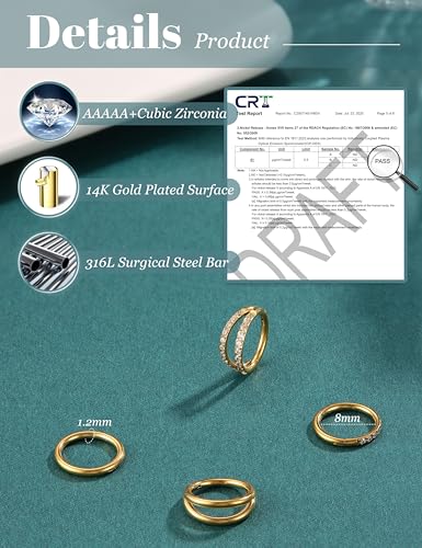 Dochais 4PCS 18G Nose Rings Hoops, Surgical Steel Earrings Tragus Septum Piercing CZ Clicker Ring, Hinged Segment Conch Lip Cartilage Double Hoops 8mm 10mm for Women Men - color: Gold, size: 16G(1.2mm),8mm