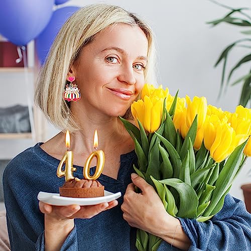 Birthday Earrings for Women Happy Birthdays Earrings Statement Cake Champagne Bottle Earring Happy Birthdays Dangle Earring Birthday Gifts Party Favors - color: Cake