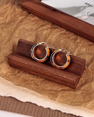 Chunky Hoop Earrings for Women Statement Tortoise Resin Leopard Huggie Hoop Earrings Gold Tone Trendy Vintage Jewelry Gift