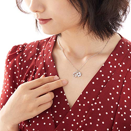 Zealmer Dainty 18K Gold Plated Compass World Map Pendant Necklace Graduation Gift for Friends - color: Worldmap Silver Tone
