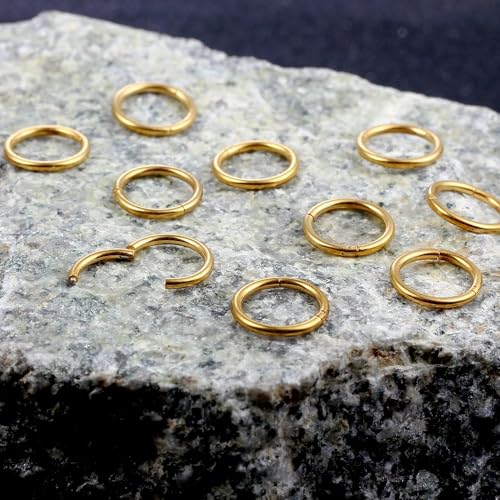 MOQIKAKA16G 18G 20G Surgical Steel Nose Septum Rings Hoops - Stainless Steel Hinged Clicker Segment Nose Rings Hoop Helix Cartilage Daith Tragus Sleeper Earrings, Ear Plugs Tunnels Gauges - color: Classic Gold 10PCS, size: 16g 12mm