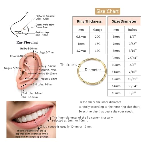 Lantine 16g 18g 20g Nose Rings Hoops Grade 23 Titanium Black Hinged Septum Rings Seamless Clicker Sleeper Cartilage Daith Tragus Helix Piercing Hoop Earrings - color: Black