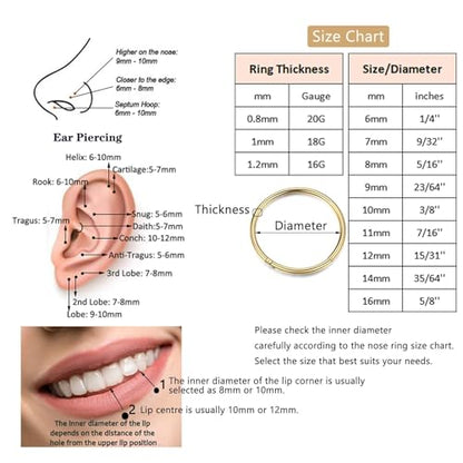 Lantine 16g 18g 20g Nose Rings Hoops Grade 23 Titanium Black Hinged Septum Rings Seamless Clicker Sleeper Cartilage Daith Tragus Helix Piercing Hoop Earrings - color: Black