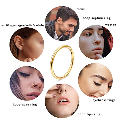 Dochais 4PCS 18G Nose Rings Hoops, Surgical Steel Earrings Tragus Septum Piercing CZ Clicker Ring, Hinged Segment Conch Lip Cartilage Double Hoops 8mm 10mm for Women Men - color: Silver, size: 18G(1.0mm),8mm