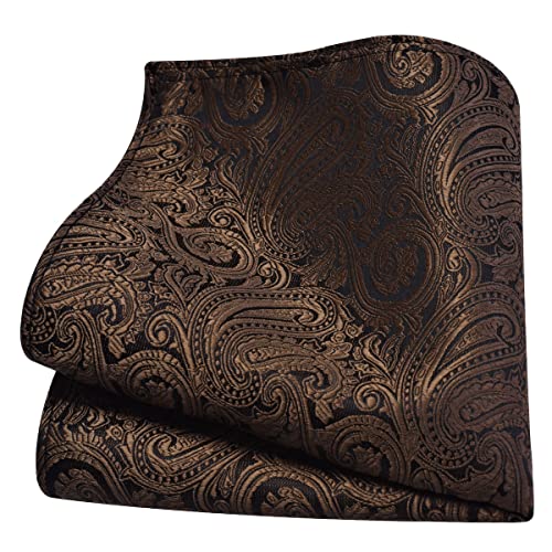 GUSLESON 3.15"（8cm） Mens Tie and Lapel Pin Paisley Necktie Hankerchief Cufflinks Set for Men - color: Brown