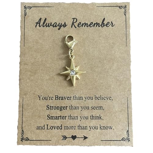 AMOBESTER 18K Gold Plated Gold North Star Zipper Pull Charms Stainless Steel Celestial Clip-On Charms for Jewelry Making, DIY Bracelets Necklaces
