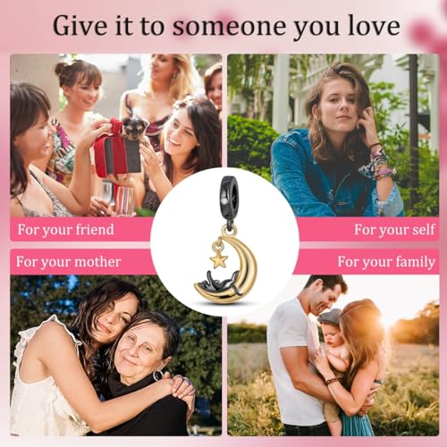 HONGRUI 925 Sterling Silver Charm for Bracelets Fashion Women Jewelry Gift - color: Black Cat
