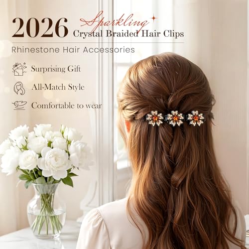 Sparkling Crystal Stone Braided Hair Clips, 2026 New Rhinestone Hair Clips Hair Braid Clips, Girls/Women Hair Accessories for Styling Sectioning (22#)