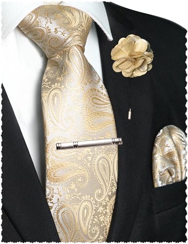 JEMYGINS Mens Paisley Tie and Lapel Pin Necktie Pocket Square and Tie Clip with Sets for Business Casual 4PCS - color: Champagne