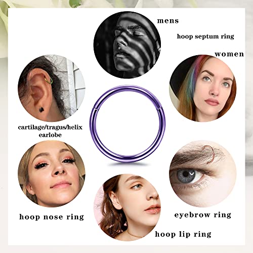 Besteel 10PCS Septum Nose Rings Hoops for Women Men - 16G 18G 316L Surgical Stainless Steel Hinged Clicker Lip Helix Rook Tragus Daith Conch Piercing Jewelry Cartilage Sleeper Earrings Set 8/10/12MM - style: 10 PCS - 16G 8MM