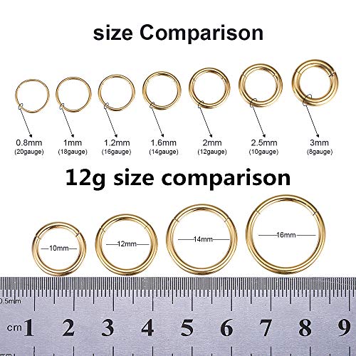 ORANGELOVE Hypoallergenic Nose Rings 20G 18G 16G 14G 12G 10G 8G 316l Surgical Steel Septum Jewelry Hinged Segment Ring Body Piercing Nose Hoop Lip Rings Nose Helix Cartilage Rook Earrings - color: Gold, size: 1pc 12 Gauge 16mm