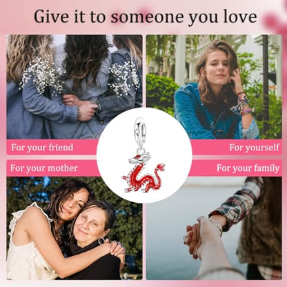 Hapour 925 Sterling Silver Charms for Bracelet Necklace Dangle Pendant Bead | Bear Charm, Elephant Zebra Cat Dream catcher Family Birthday European Jewelry Charm, For Women Mom - color: Red Dragon
