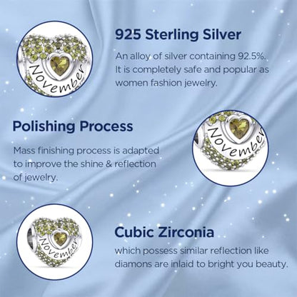 Birthstone Charms Love Heart Openwork Bead Charm for Women Bracelets and Necklaces 925 Sterling Silver with 5A Cubic Zirconia,Jewelry Gifts Women - color: Silver November Birthstone Charms