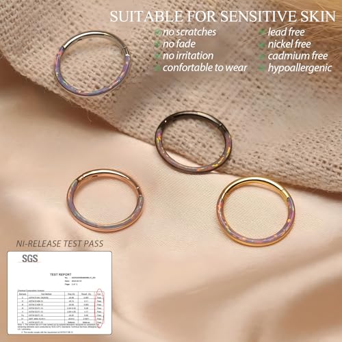 Opal Septum Jewelry Surgical Steel Septum Ring Daith Rook Tragus Earring | Hinged Segment Nose Hoop Ring,Hypoallergenic Septum Piercings for Women,Conch Cartilage Helix Jewelry,Diameter 6mm to 10mm - color: Silver,Purple Opal, size: 14G 8mm