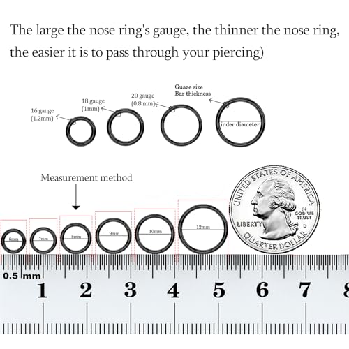 2Pcs Titanium Nose Rings 20G 18G 16G 14G Nose Rings Hoops Diameter 5mm to 12mm Silver-Gold-Rose Gold-Black Cartilage Helix Tragus Daith Rook Hoop Earrings Hinged Segment Septum Clicker Body Piercing Jewelry - color: Black