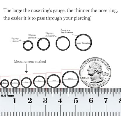 2Pcs Titanium Nose Rings 20G 18G 16G 14G Nose Rings Hoops Diameter 5mm to 12mm Silver-Gold-Rose Gold-Black Cartilage Helix Tragus Daith Rook Hoop Earrings Hinged Segment Septum Clicker Body Piercing Jewelry - color: Black