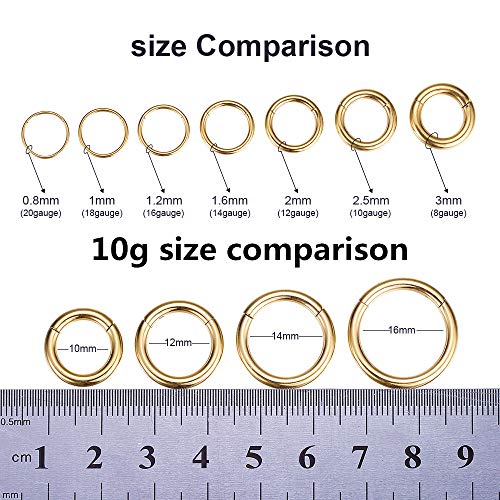 ORANGELOVE Hypoallergenic Nose Rings 20G 18G 16G 14G 12G 10G 8G 316l Surgical Steel Septum Jewelry Hinged Segment Ring Body Piercing Nose Hoop Lip Rings Nose Helix Cartilage Rook Earrings - color: Gold, size: 1pc 10 Gauge 10mm