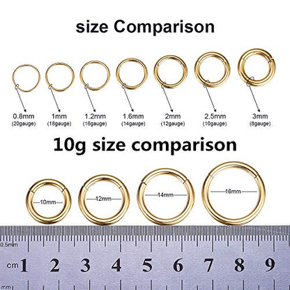 ORANGELOVE Hypoallergenic Nose Rings 20G 18G 16G 14G 12G 10G 8G 316l Surgical Steel Septum Jewelry Hinged Segment Ring Body Piercing Nose Hoop Lip Rings Nose Helix Cartilage Rook Earrings - color: Gold, size: 1pc 10 Gauge 10mm