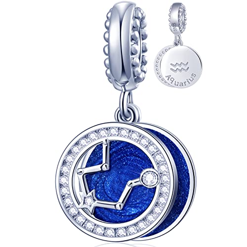 Zodiac Sign Charms for Charm Bracelets - 925 Sterling Silver Necklace Pendants, 12 Constellation/Horoscope Star Dangle - Dangling Birthstone Beads, Birthday Gifts for Women/Men. - color: Aquarius (1.20～2.18)