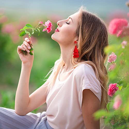 Ponpon 6-18 Pairs Earrings for Women, Lightweight Summer Earrings Straw Earrings Fashion Geometric Statement Hoop Dangle Drop Earrings for Women - style: Style A - 6 Pairs