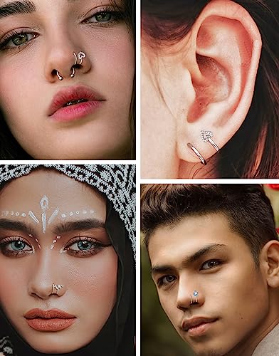 Akeoqi 16PCS Double Nose Ring Hoop For Single Piercing Stainless Steel Dangle Spiral Nose Rings Snake Flower Butterfly Planet Angel Wings Heart Ball Twist Earring Hoops Body Piercing Jewelry For Women - color: A: Silver