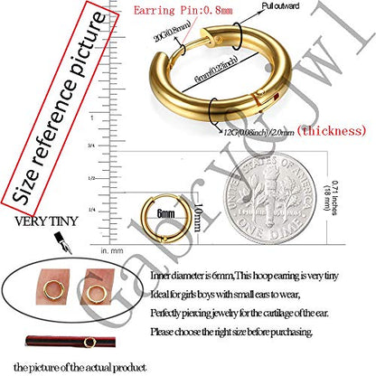 316L Surgical Stainless Steel Huggie Hoop Earrings 6mm 8mm 10mm 11mm 12mm 14mm Hypoallergenic Earrings Hoop Cartilage Helix Lobes Hinged Sleeper Earrings For Men Women - style: A04:6mm Rose Gold(THK 2.0mm)