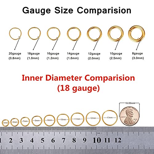 316L Surgical Steel Seamless Nose Ring Cartilage Hoop Silver/Gold/Rose Gold/Black 16G 18G 20G 6mm-12mm CZ Paved Helix Rook Tragus Lobe Body Pierecing Jewelry Segment Clicker Lip Rings Rook Earrings - color: Silver, size: 18 Gauge 8mm