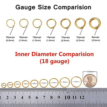 316L Surgical Steel Seamless Nose Ring Cartilage Hoop Silver/Gold/Rose Gold/Black 16G 18G 20G 6mm-12mm CZ Paved Helix Rook Tragus Lobe Body Pierecing Jewelry Segment Clicker Lip Rings Rook Earrings - color: Silver, size: 18 Gauge 8mm