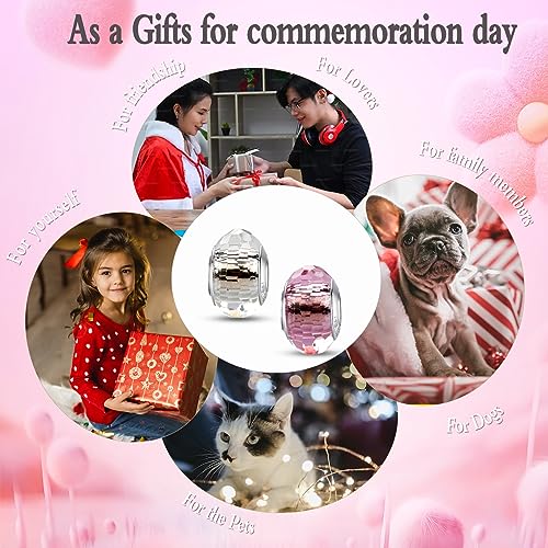 MICOO 925 Sterling Silver Charms for Bracelets,Fashion DIY Dangle Pendants Beads Simulated Birthstone Charms,Birthday Gifts for Women - color: 2 White and Pink Charms