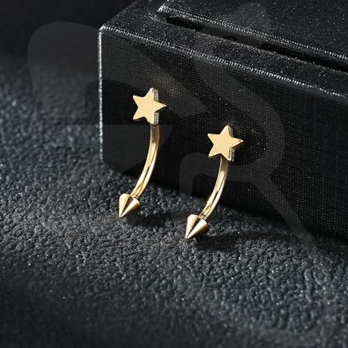 ZS 2 Pairs Stainless Steel Eyebrow Rings, 16G Curved Belly Rings Navel Barbell Helix Daith Tragus Earrings, 8/10mm Spike Vertical Labret Lip Piercing Jewelry - color: Gold,Star-L:8/10mm