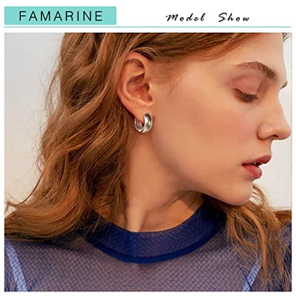 FAMARINE Chunky Thick Hoop Earrings for Women Gold Hoops Huggie Earrings for Men Gift - color: Hoop Silver
