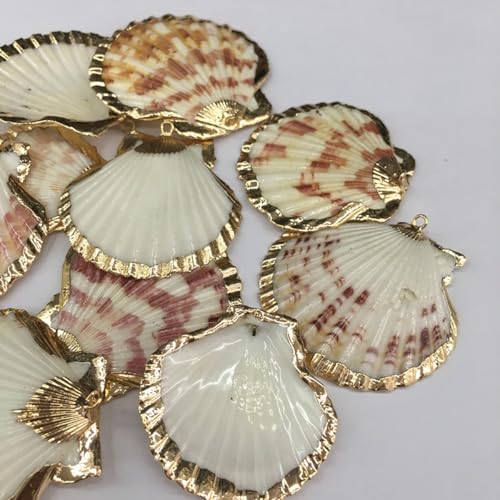 20pcs Natural Shell Pendants Charms Necklace Trendy Pendant For Making DIY Accessories Necklaces Earings