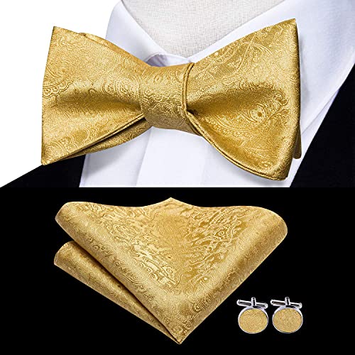 Hi-Tie 5Pcs Mens Solid Color Silk Tie Satin Pretied Bowtie Lapel Pin for Men Handkerchief Cufflink Wedding Gift Box - color: A Gold Paisely