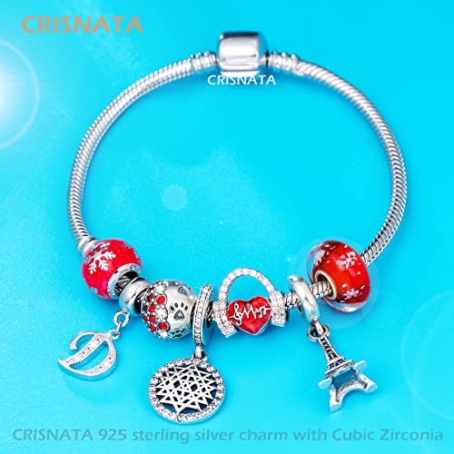 26 Letter Pendant Charms, Polished 925 Sterling Silver Complete Initial A-Z Dangling CZ Stone Alphabet Beads, fits European Bracelet Necklace, Gift for Mother/Father/Daughter/Son/Sister/Aunt - color: Letter D CZ Pendant Charm