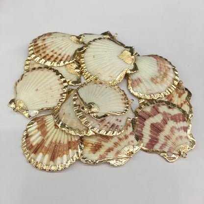 20pcs Natural Shell Pendants Charms Necklace Trendy Pendant For Making DIY Accessories Necklaces Earings
