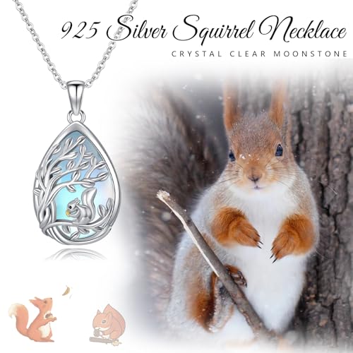 Dragonfly Necklace 925 Sterling Silver Moonstone Necklace Rainbow Stone Dragonfly Jewelry Christmas Birthday Gifts for Women Mom Her - style: Squirrel wtih Moonstone