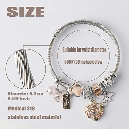 DS Charm Bracelets for girls,exquisite cute cartoon friendship bracelets Silver Stainless Steel Bangle with birthday Gift box, Adjustable girls jewelry Suitable for holiday gifts - style: Silver-Pink Heart 2