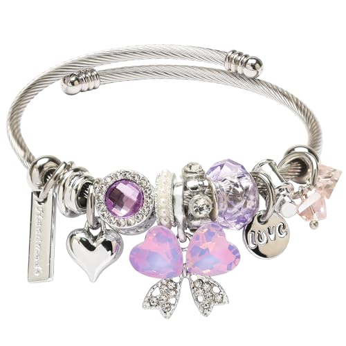 DS Charm Bracelets for girls,exquisite cute cartoon friendship bracelets Silver Stainless Steel Bangle with birthday Gift box, Adjustable girls jewelry Suitable for holiday gifts - style: Silver-purple butterfly 3
