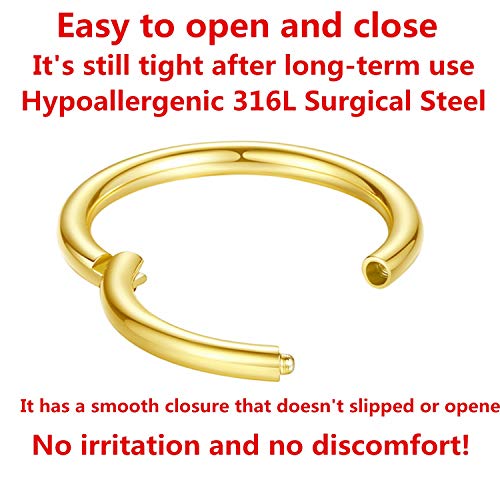 ORANGELOVE Hypoallergenic Nose Rings 20G 18G 16G 14G 12G 10G 8G 316l Surgical Steel Septum Jewelry Hinged Segment Ring Body Piercing Nose Hoop Lip Rings Nose Helix Cartilage Rook Earrings - color: Gold, size: 1pc 8 Gauge 12mm