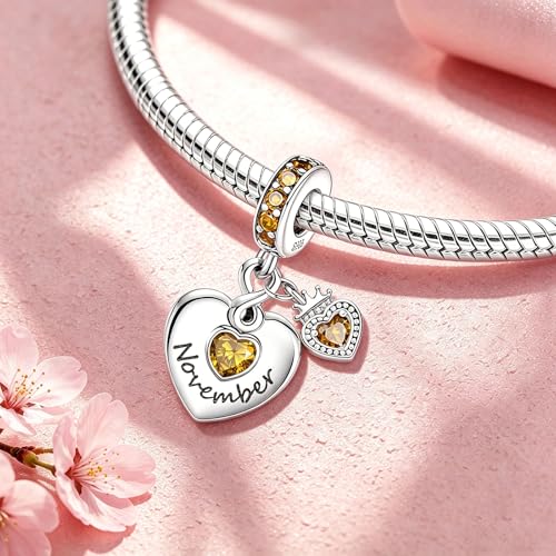 BLUELUNE Birthstone Charms, 925 Sterling Silver Dangle Charm with 5A Cubic Zirconia for Bracelets or Necklaces, Birthday, Mother's Day Present for Women - color: November